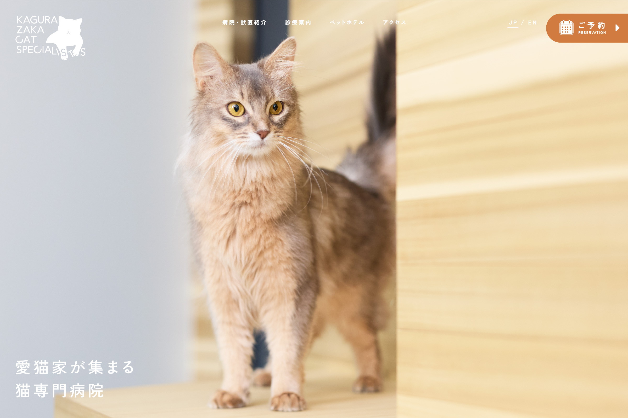 猫専門病院 神楽坂 Cat Specialists　Webサイト Webサイト