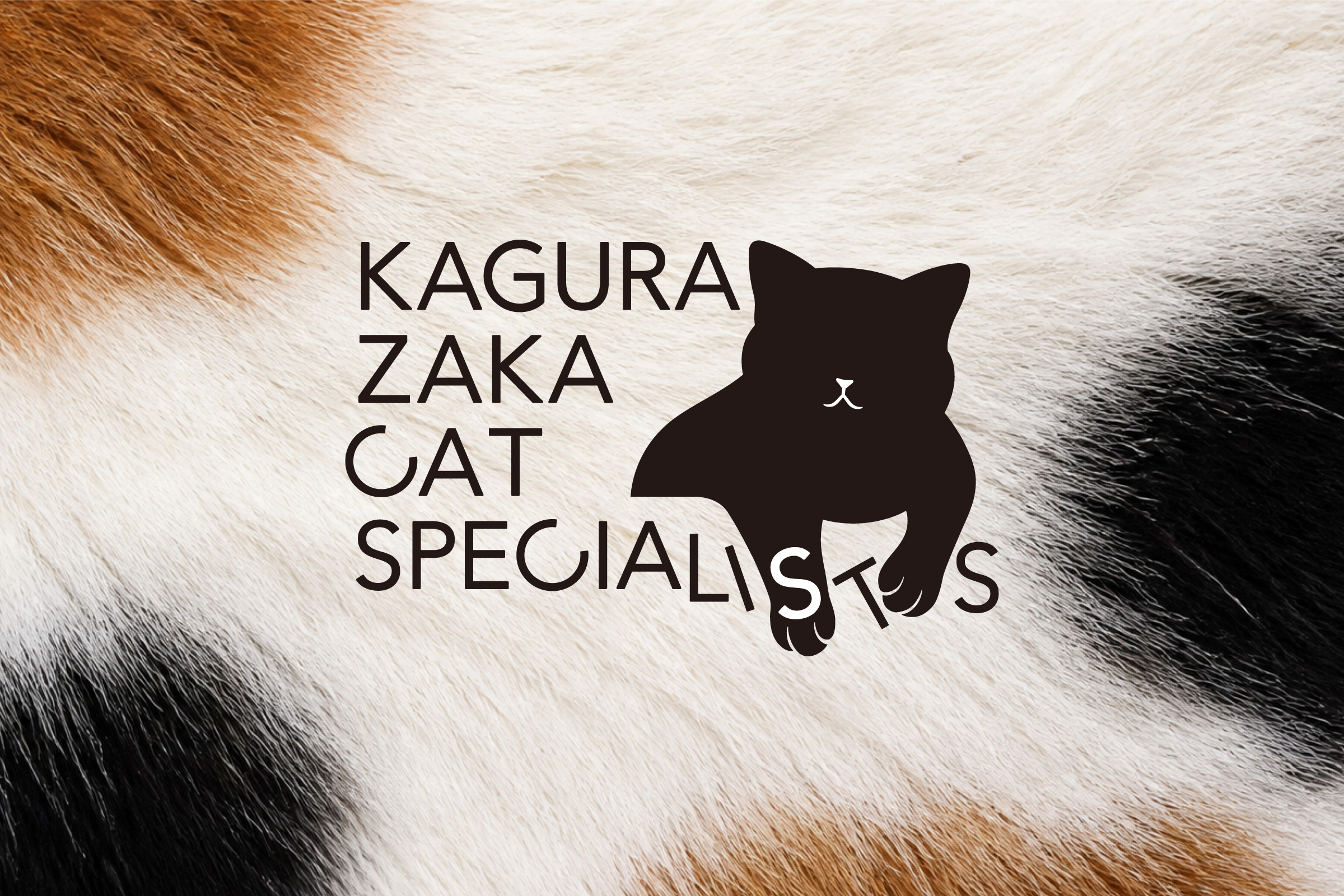 猫専門病院 神楽坂 Cat Specialists　ロゴデザイン ロゴ