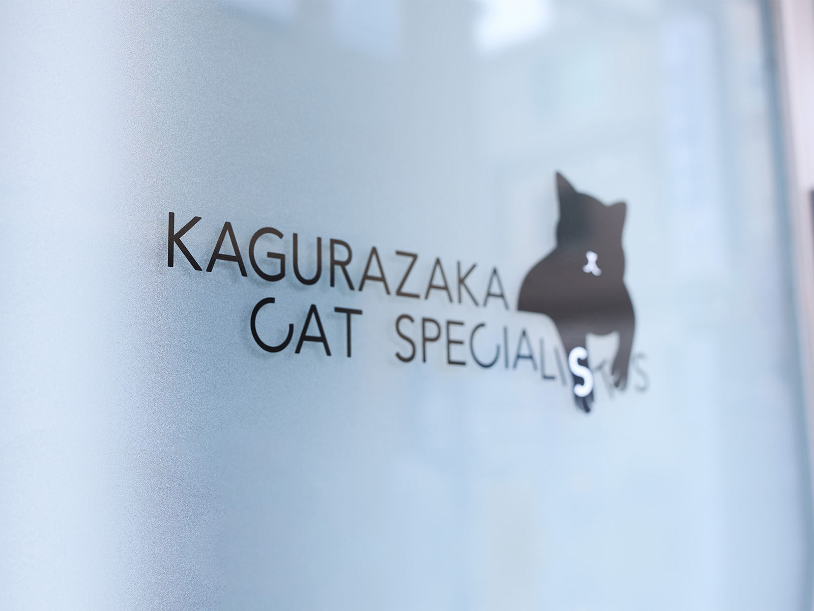 猫専門病院 神楽坂 Cat Specialists　サイン サイン